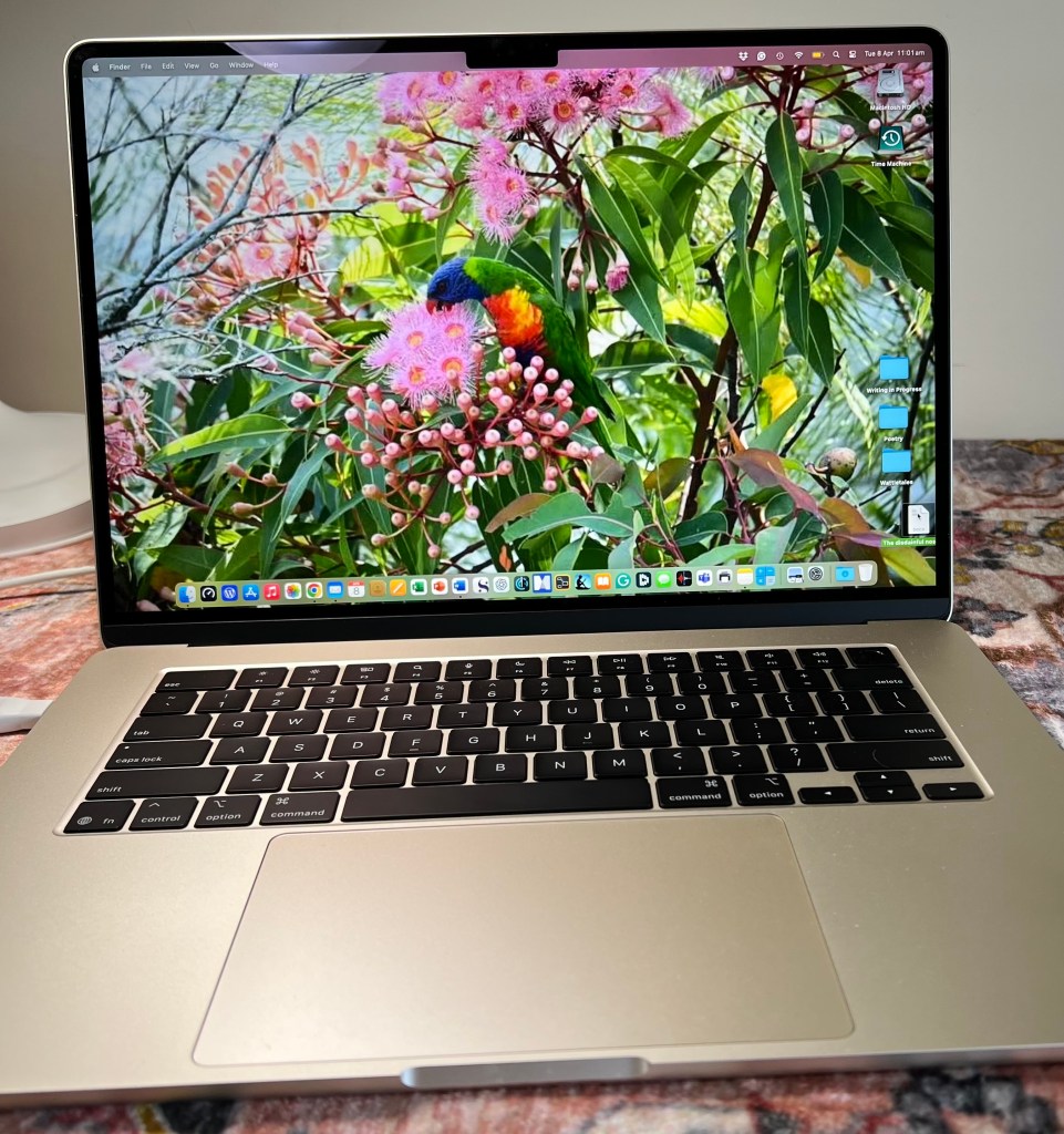 A close-up view of a MacBook Air laptop showcasing a colorful screensaver featuring a rainbow lorikeet on pink flowering eucalyptus branches.