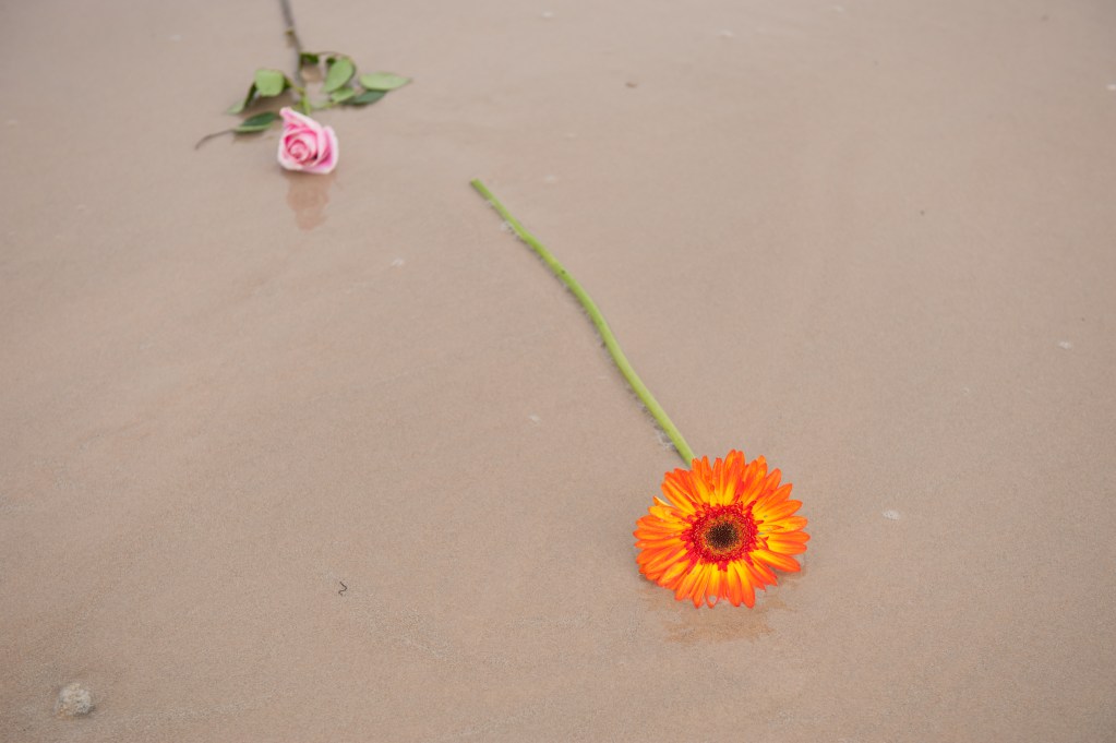 An orange gerbera daisy and a pink rose lying on sandy ground, with a soft reflection visible on the wet surface.
